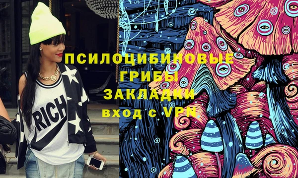 сатива Пересвет